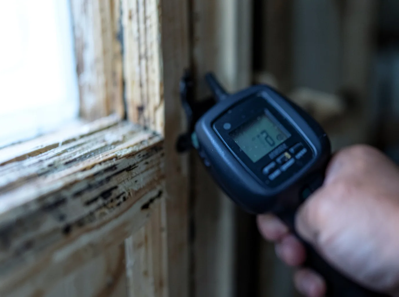 Moisture Inspection And Documentation in Sanford, MI